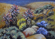 Phillipa Johnson